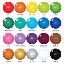 Load image into Gallery viewer, Reusable Balloon Long Pole Kit