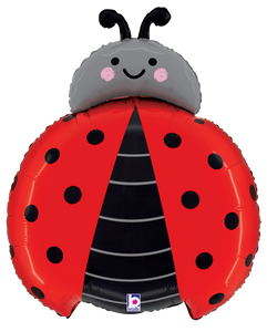 25390 Ladybug