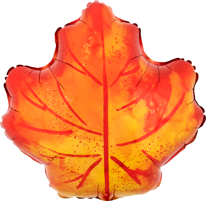 41996 Fall Maple Leaf