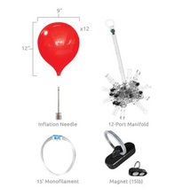 Load image into Gallery viewer, PermaShine® 12-Balloon Cluster Kit
