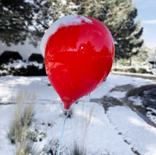 Load image into Gallery viewer, PermaShine® 1-Balloon Adjustable Car Window Kit
