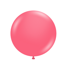 Load image into Gallery viewer, 24093 Tuftex Taffy 24&quot; Round (25ct)
