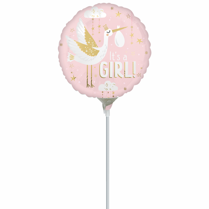 47021 Special Delivery Baby Girl