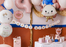 Load image into Gallery viewer, FB361 Happy Birthday Kitty
