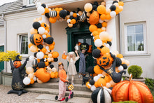 Load image into Gallery viewer, FB432 Scarecrow
