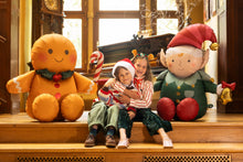 Load image into Gallery viewer, FB446 Gingerbread
