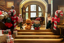 Load image into Gallery viewer, FB446 Gingerbread

