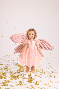 FBS1 Butterfly Wings - Matte Pink