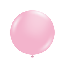 Load image into Gallery viewer, 10022 Tuftex Baby Pink 11" Round (100ct)
