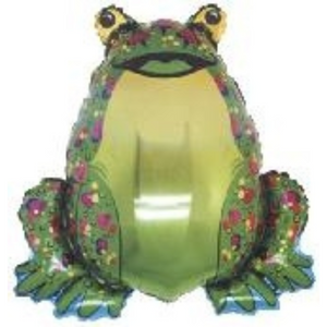 15793 Frog