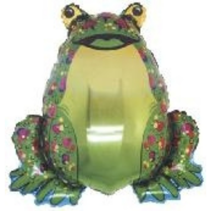 15793 Frog