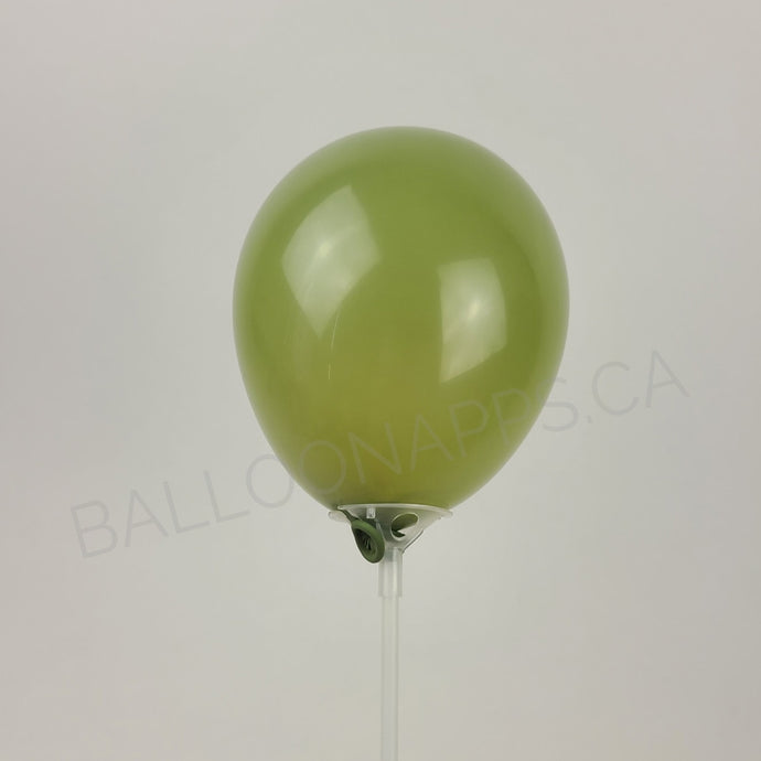 Econo Eucalyptus 5
