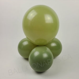 Econo Eucalyptus 11-12" Round (100ct)