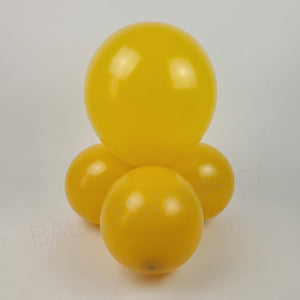 Econo Marigold 11-12" Round (100ct)