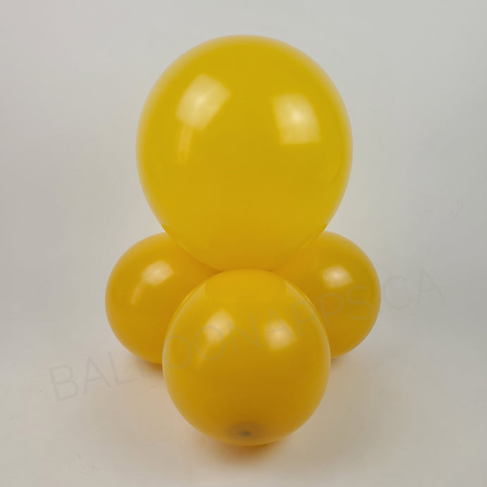 Econo Marigold 11-12