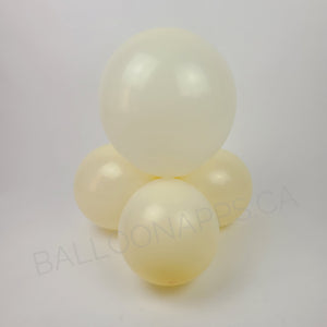 Econo Ivory 11-12" Round (50ct)