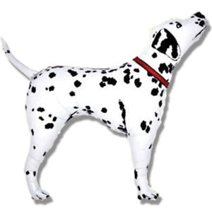 15546 Dalmatian