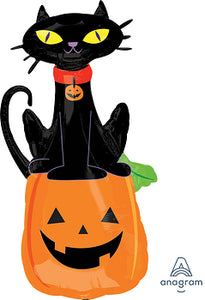 31371 Black Cat on Pumpkin