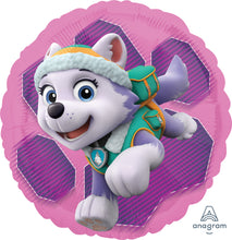 Load image into Gallery viewer, 34088 Paw Patrol Skye &amp; Everest
