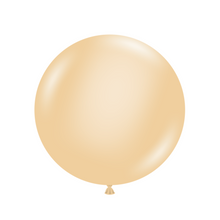 Load image into Gallery viewer, 10073 Tuftex Blush 11&quot; Round (100ct)

